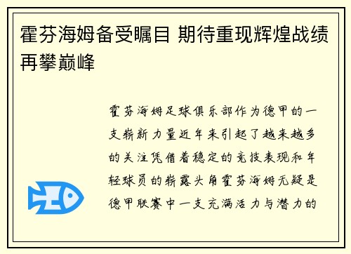 霍芬海姆备受瞩目 期待重现辉煌战绩再攀巅峰