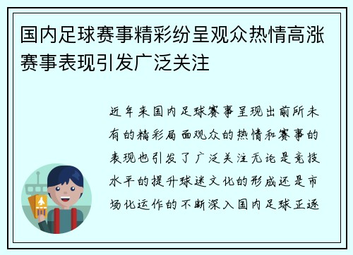 国内足球赛事精彩纷呈观众热情高涨赛事表现引发广泛关注